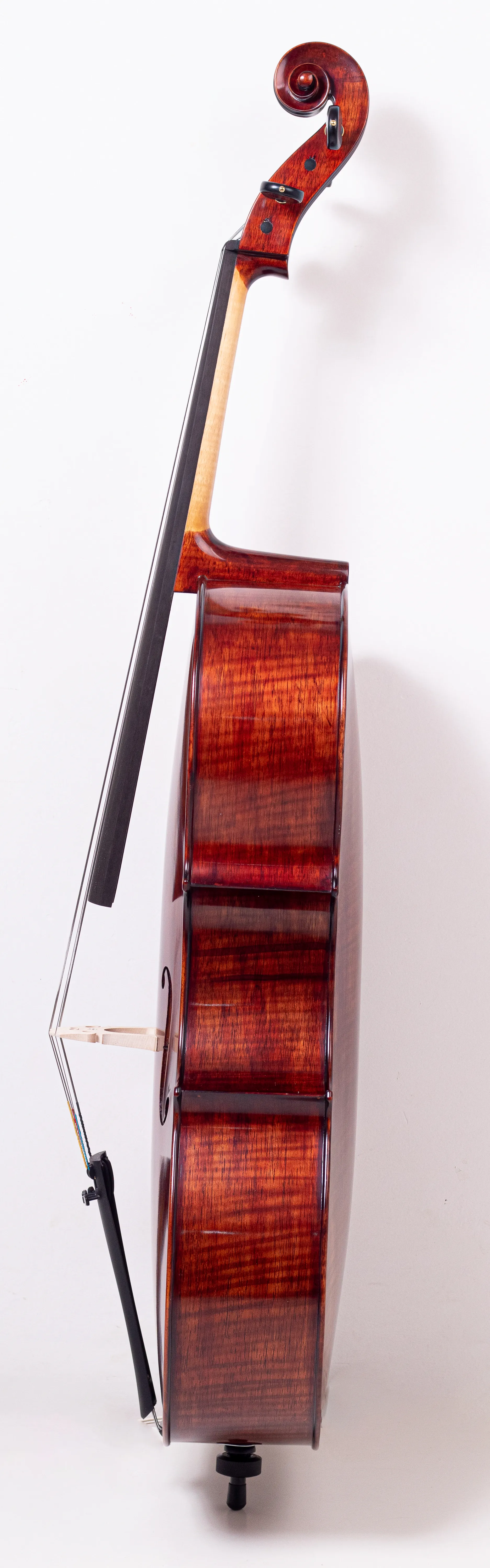 Cello modelo Matheo Goofriller - Lateral